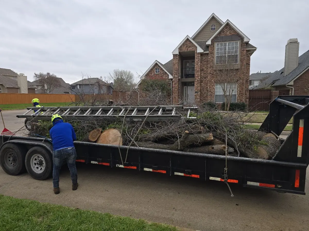 Expert Tree Fertilization with proper safety equipment in Twin Falls